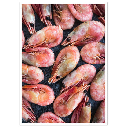 Ocean Delights: Fresh Prawns in All Their Glory 