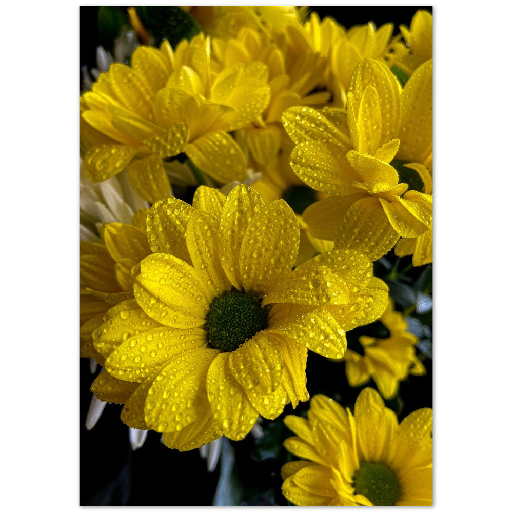 Rainy Day Bouquet